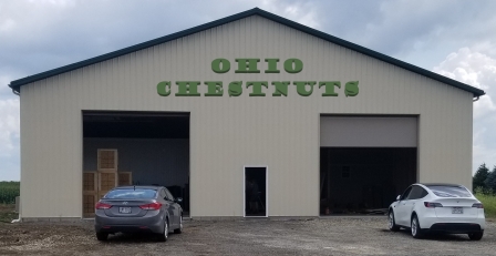 Ohio Chestnuts